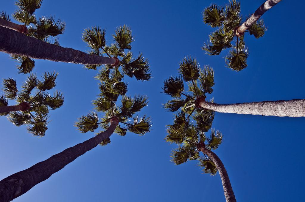 The Avalon Hotel In Catalina Island Экстерьер фото