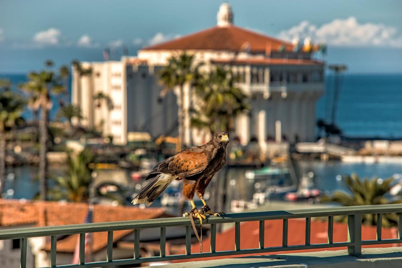 The Avalon Hotel In Catalina Island Экстерьер фото